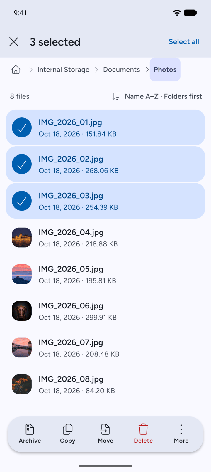 Step 3: Tap the other files and folders you want.
